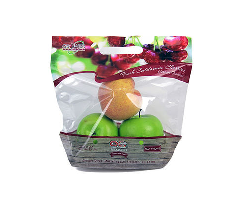 Fruit frais portatif stratifié et sac de empaquetage transparent végétal de l'emballage VMPET